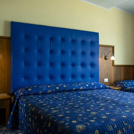 Hotel Panoramic